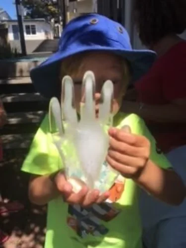 Session 4 - Science activity and sensory experiences