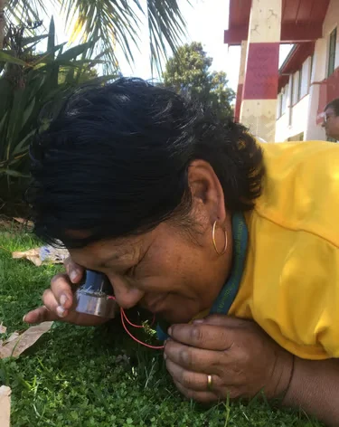 Session 6 - Outdoors education and inquiry