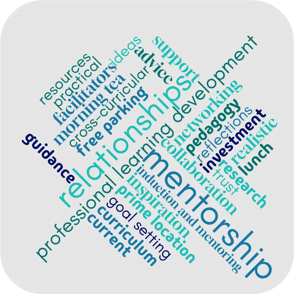 Word cloud: mentorship, professional learning, relationships, support, and programme benefits
